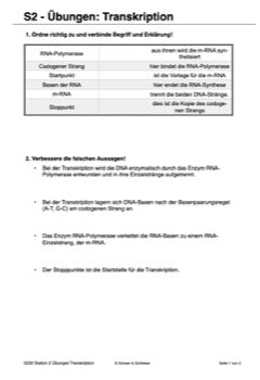 Vom Gen zum Merkmal - Proteinbiosynthese für die Sek I (68 MB)