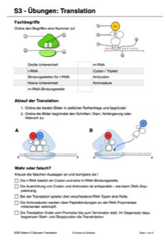 Vom Gen zum Merkmal - Proteinbiosynthese für die Sek I (68 MB)