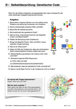 Vom Gen zum Merkmal - Proteinbiosynthese für die Sek I (68 MB)