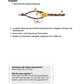 Vom Gen zum Merkmal - Proteinbiosynthese für die Sek I (68 MB)