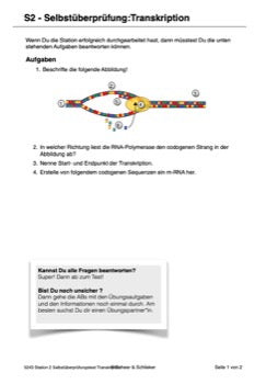 Vom Gen zum Merkmal - Proteinbiosynthese für die Sek I (68 MB)