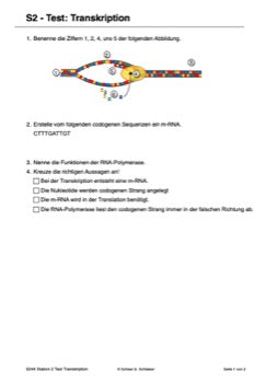 Vom Gen zum Merkmal - Proteinbiosynthese für die Sek I (68 MB)