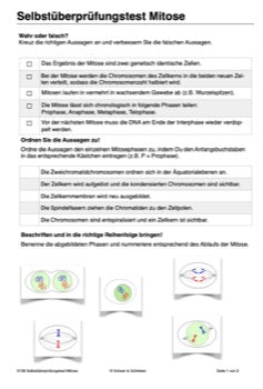 Mitose und Meiose Sek I-Lerntheke (120MB)