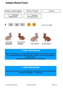 Mendelschen Regeln (115 MB)