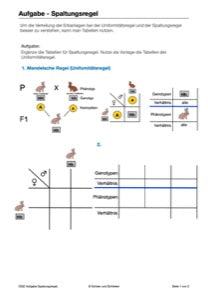 Mendelschen Regeln (115 MB)