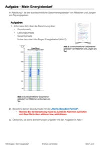 Gesunde Ernährung 5. und 6. Jahrgang (248MB)