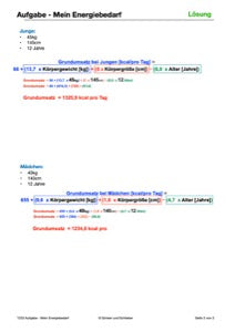 Gesunde Ernährung 5. und 6. Jahrgang (248MB)