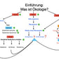 Ökologie und Artenschutz Jahrgang 7 - 10 (105MB)