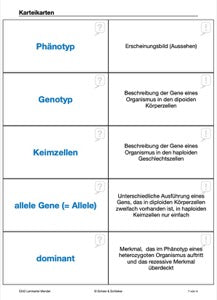 Mendelschen Regeln (115 MB)