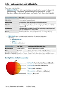 Gesunde Ernährung 5. und 6. Jahrgang (248MB)