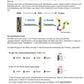 Vom Gen zum Merkmal - Proteinbiosynthese für die Sek I (68 MB)