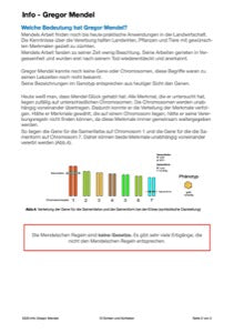 Mendelschen Regeln (115 MB)