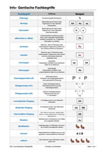 Mendelschen Regeln (115 MB)