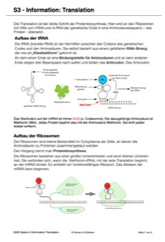 Vom Gen zum Merkmal - Proteinbiosynthese für die Sek I (68 MB)