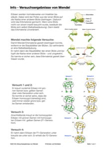 Mendelschen Regeln (115 MB)