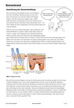 Mitose und Meiose Sek I-Lerntheke (120MB)