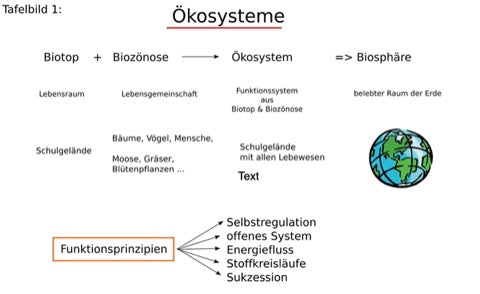 Ökologie und Artenschutz Jahrgang 7 - 10 (105MB)