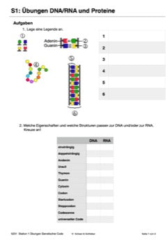 Vom Gen zum Merkmal - Proteinbiosynthese für die Sek I (68 MB)