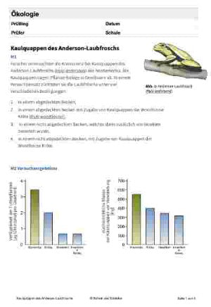 Ökologie - Anderson-Laubfrosch - Konkurrenz unter Kaulquappen