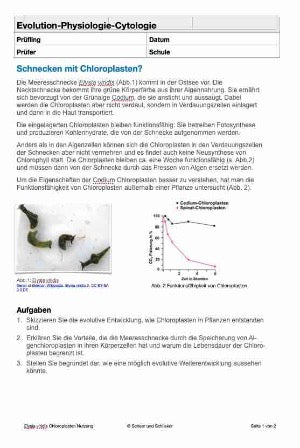 Physiologie - Schnecken mit Chloroplasten?