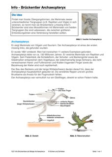 Belege für die Evolution (37 MB)