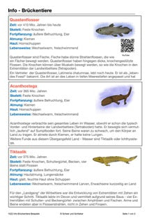 Belege für die Evolution (37 MB)