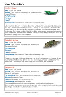 Belege für die Evolution (37 MB)