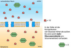 Diffusion und Osmose (170 MB)