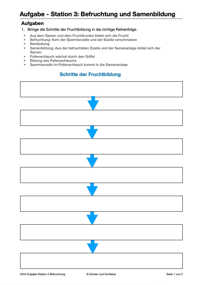 Botanik: Bestäubung und Befruchtung - Stationsarbeit (131 MB)