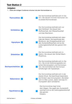 Hormonsystem Jahrgang 7 bis 10 (24 MB)