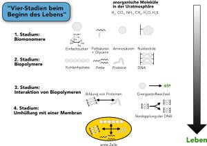 Leben entsteht - komplett