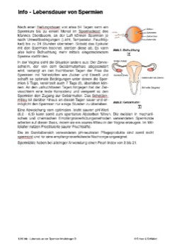Befruchtung - eine Lerntheke (149 MB)