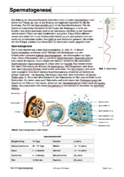 Befruchtung - eine Lerntheke (149 MB)