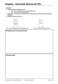 Hormonsystem Jahrgang 7 bis 10 (24 MB)