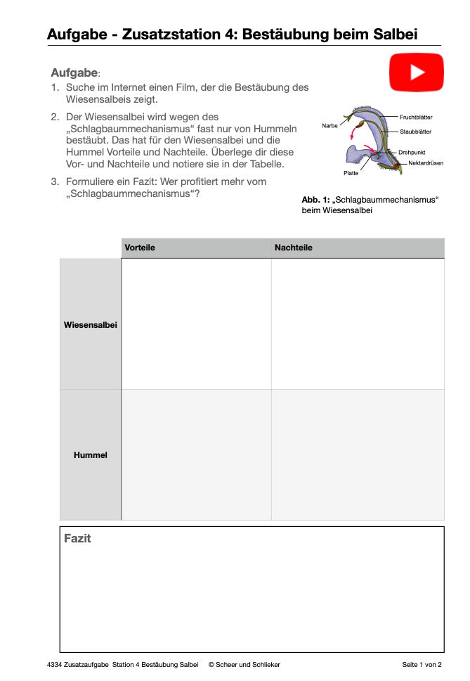 Botanik: Bestäubung und Befruchtung - Stationsarbeit (131 MB)