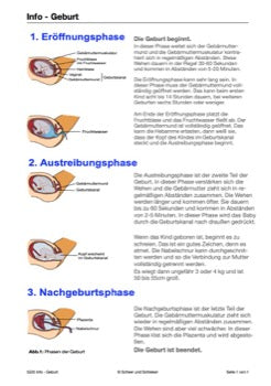 Sexualität Jahrgang 5 und 6 (142 MB)