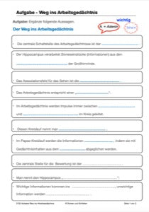 Nervensystem, Lernen und Gedächtnis: Jahrgang 7 - 10 (56 MB)