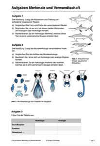 Evolution - komplett: Jahrgang 7 - 10 (600 MB)