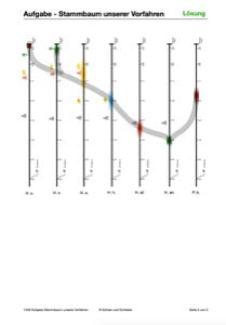 Evolution - komplett: Jahrgang 7 - 10 (600 MB)