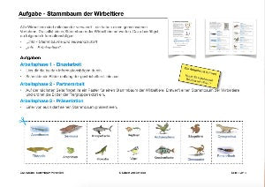 Stammbäume: Jahrgang 7 - 10 (160 MB)