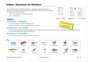 Evolution - komplett: Jahrgang 7 - 10 (600 MB)