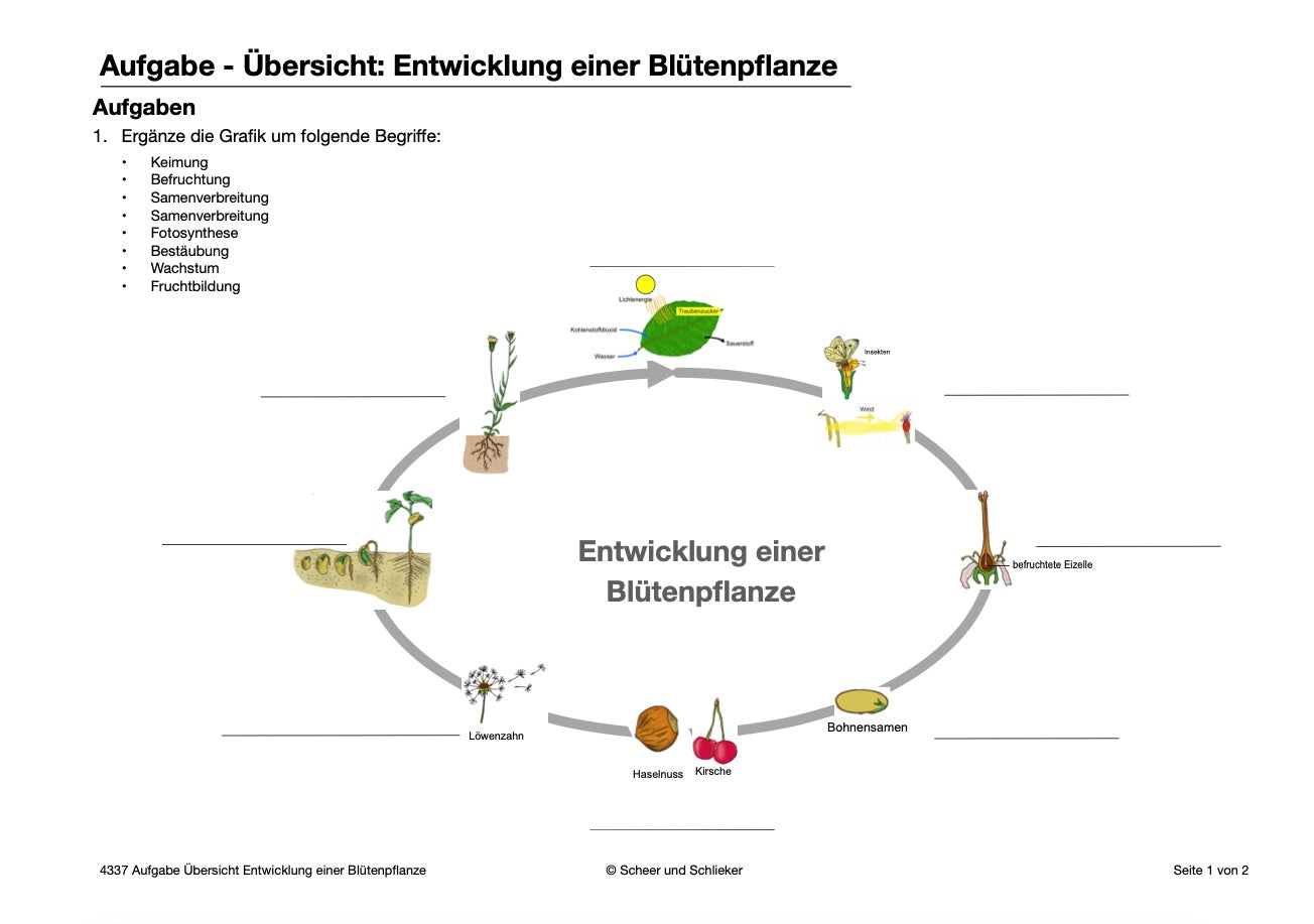 Botanik: Bestäubung und Befruchtung - Stationsarbeit (131 MB)