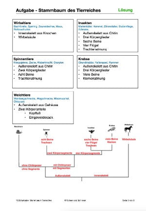 Stammbäume: Jahrgang 7 - 10 (160 MB)