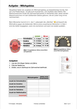 Nährstoffe und Verdauung 5. und 6. Jahrgang (84 MB)