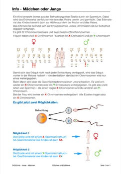 Sexualität Jahrgang 7 - 10 (343 MB)