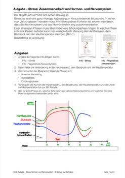 Hormonsystem Jahrgang 7 bis 10 (24 MB)