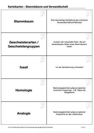 Stammbäume: Jahrgang 7 - 10 (160 MB)