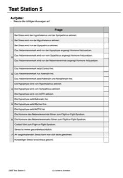 Hormonsystem Jahrgang 7 bis 10 (24 MB)