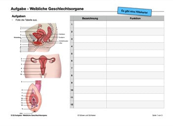 Sexualität Jahrgang 5 und 6 (142 MB)