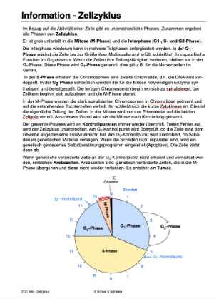 Embryonalentwicklung (Einzellizenz) 360 MB